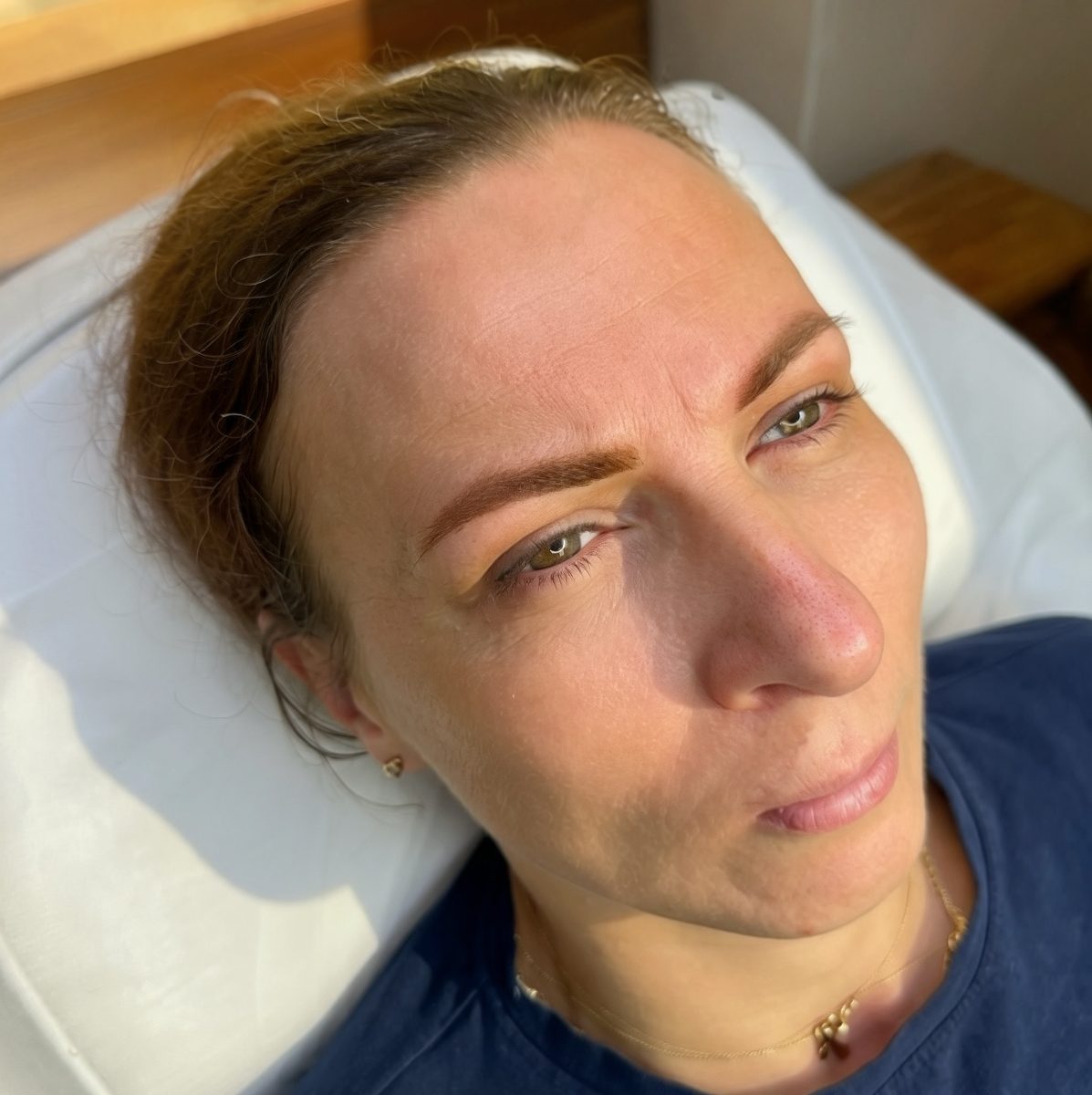Powder brows by Elena Vi