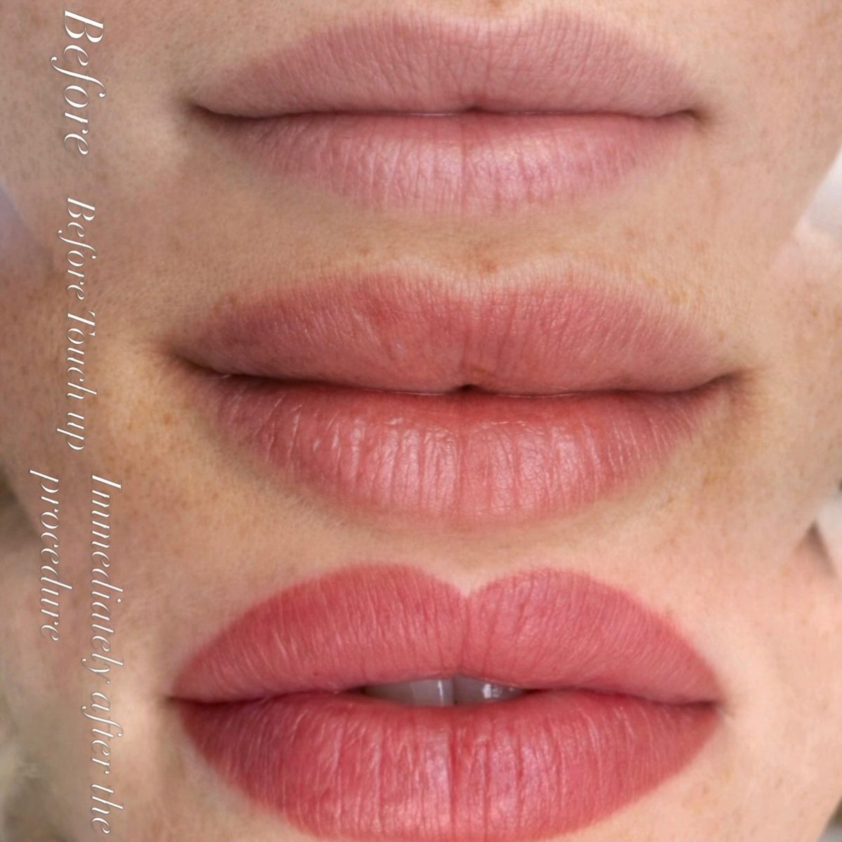 Natural lip blush result by Elena Vi