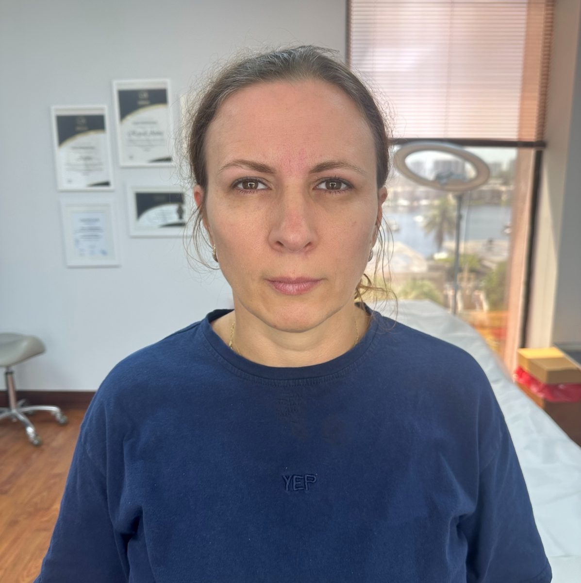 Powder brows by Elena Vi